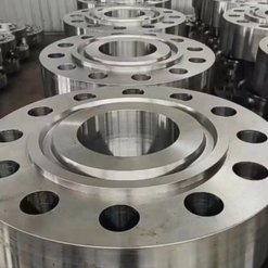 Monel Alloy Flanges