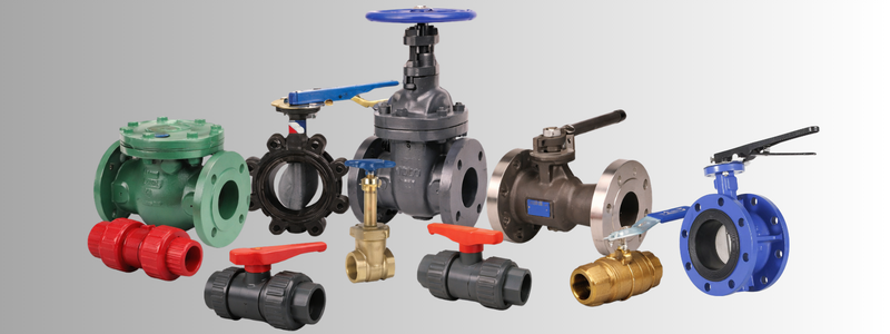 Triclover Valves Manufacturer in India