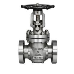 F91 Gate Valves